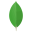 MongoDB Logo